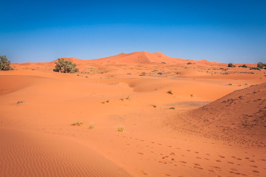 Sand dunes in the Sahara Desert, Merzouga, Morocco © Lukasz Janyst
