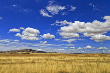 Obraz premium SA Agriculture Plains Day sky
