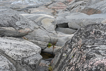 Majestic, strong and calm stones of the bottom of the sea pool at low tide.