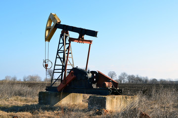 Small Donkey Pumper in field