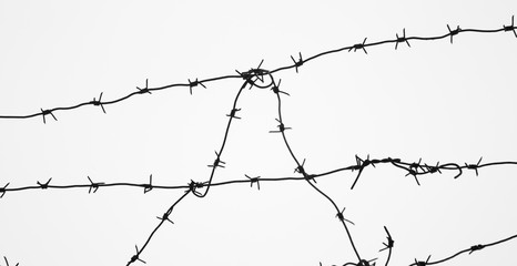 barbed wire over white