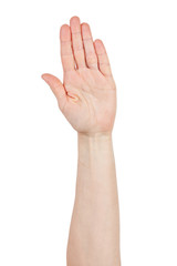 Palm with the fingers