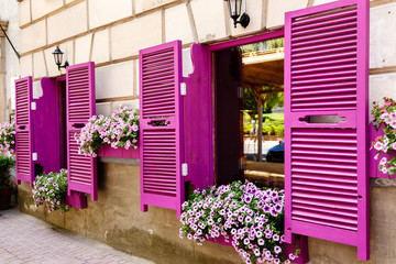 Pink shutters and petunia flowers on window