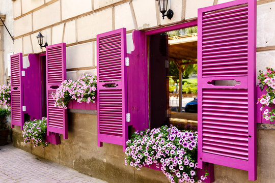 Pink Shutters And Petunia Flowers On Window