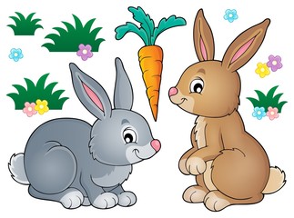 Fototapeta premium Rabbit topic image 1