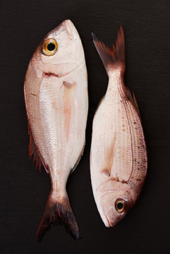 RAw fish with other ingredients