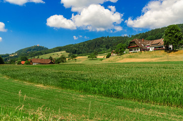 Nature. The countryside in Germany.