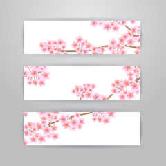Sakura flowers banners