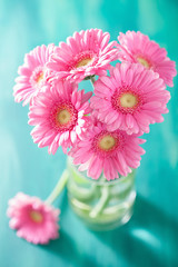 beautiful pink gerbera flowers bouquet in vase © Olga Miltsova
