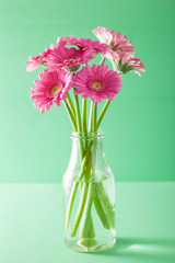 beautiful pink gerbera flowers bouquet in vase