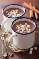 Fototapeta na wymiar hot chocolate with mini marshmallows cinnamon winter drink