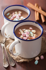 hot chocolate with mini marshmallows cinnamon winter drink