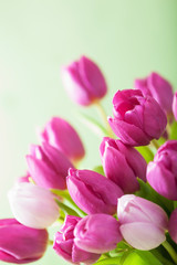 Obraz na płótnie Canvas beautiful purple tulip flowers background