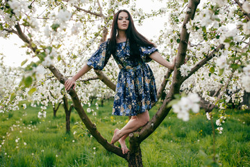 Spring walk girl in a beautiful cherry orchard