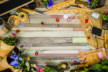 Garden tools, flowers and seeds on a wooden background, frame