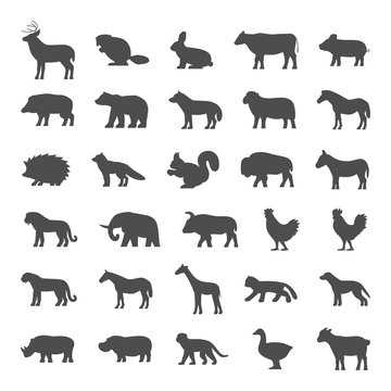 Set of domestic and wild animals on a white background.