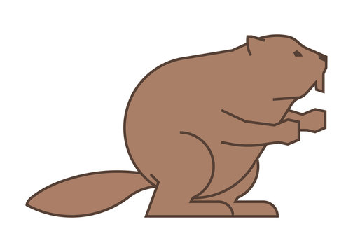 Vector painted line figure of beaver on a white background.
