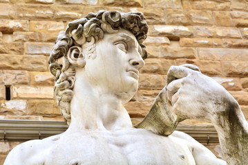 The most famous statue in Florence, David of Michelangelo, Italy - 102917368