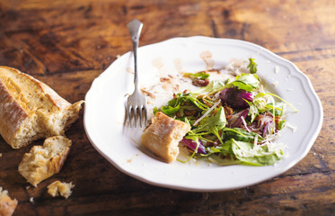 Rucola salad on white porcelain plate with brusheta bread
