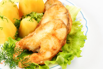 Slices of grilled sea bass