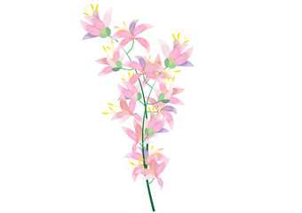 Obraz na płótnie Canvas abstract azalea flowers on white background