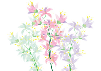 abstract azalea flowers on white background