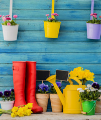 Spring flowers in the garden