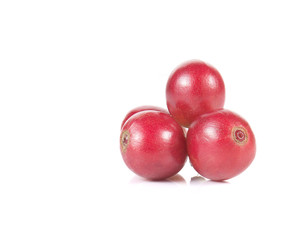 Fresh coffee beans on white background.
