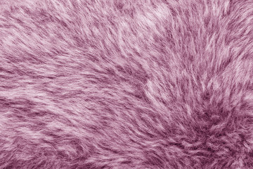 Fototapeta premium Artificial fur texture background