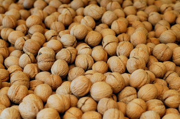 hundrets of walnuts close up