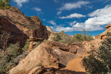 Fototapeta na wymiar Panoramic view to Zion National Park
