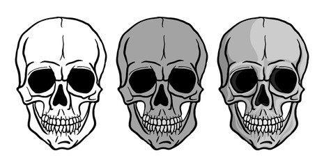 Human Skulls vector set