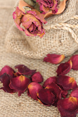 Fototapeta na wymiar Close up of dried withered roses bouquet and petals on sackcloth