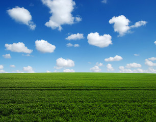  field and sky