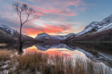 Dramatic winter sunrise at Buttermere in the English Lake District with calm reflections in lake and interesting lone tree.