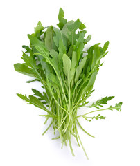 Sweet rucola salad or rocket lettuce leaves isolated on white ba