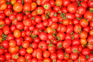 Cherry tomatoes background