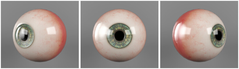 Realistic human eyeballs blue iris pupil in three different sides