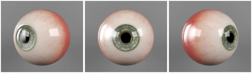 Foto op Plexiglas Realistic human eyeballs blue iris pupil in three different sides © G3D Studio