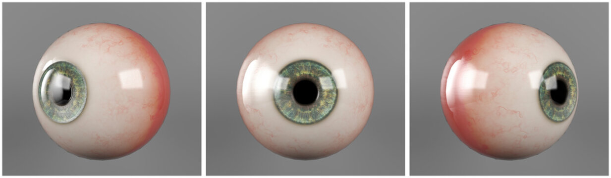 Eyeball Photos, Download The BEST Free Eyeball Stock Photos & HD Images