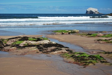 bass rock and beach with waves