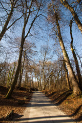 Fototapeta premium Forststraße, Schild, Winter