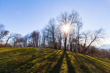Forststraße, Schild, Winter