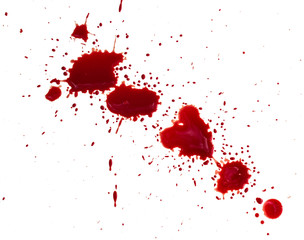 blood droplets on white  background