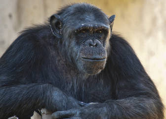 20080512_zoo_Bilderforum_050