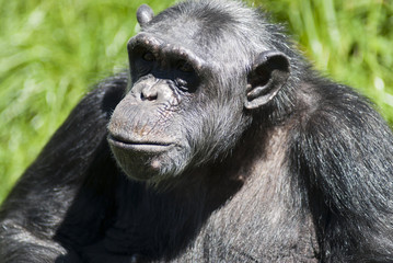 20080512_zoo_Bilderforum_048