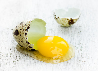 Quail egg broken on white background close-up