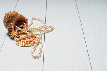 background with sea cockleshells and pearls