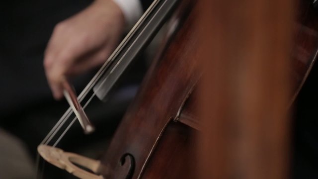 strong hands man play bass