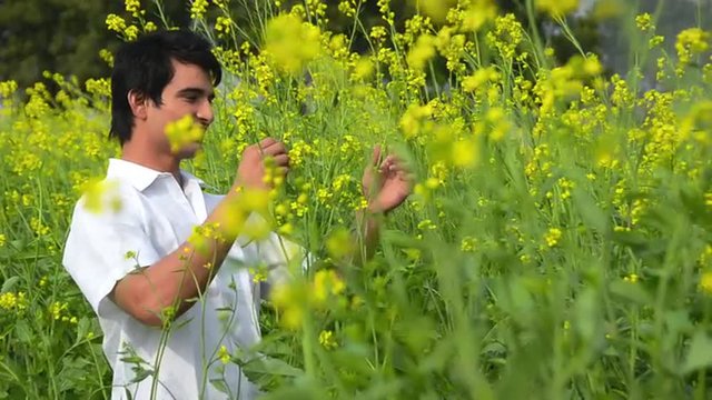 Locked-on shot of a man standing in a mustard field, Sohna, Gurgaon, Haryana, India
